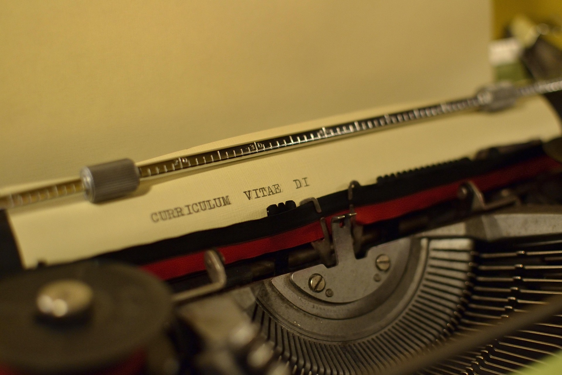 synonyms for curriculum